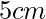 5cm