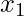 x_{1}