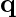 \textbf{q}