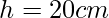 h=20 cm