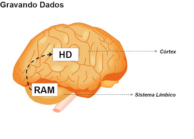 aprender Cálculo 1 em uma semana